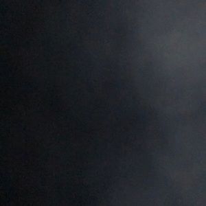 Meet your Posher, Reese